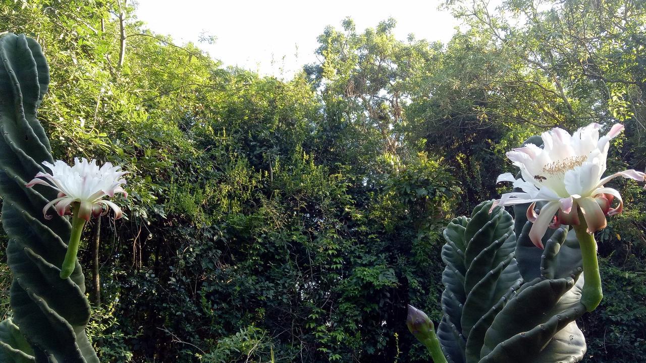 Posada Camboata Aristóbulo del Valle Εξωτερικό φωτογραφία